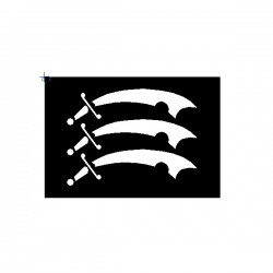 Brushing Essex Swords