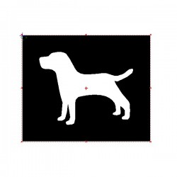 Brushing Labrador Dog