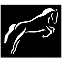 Paint Silverhill Jumping Horse