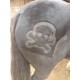 Clipping Skull and Bones
