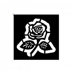 Clipping Rose In Bloom