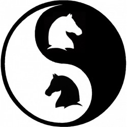 Clipping Ying Yang