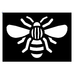 Brushing Bee (Manchester)