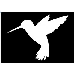 Brushing Hummingbird