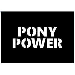 Brushing Pony Power