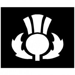 Brushing Large Thistle